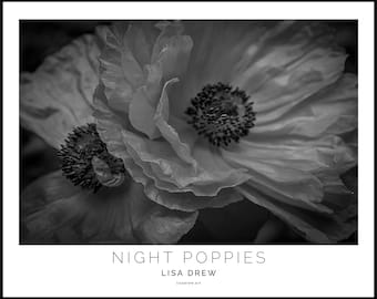 Night Poppies Art Print • Moody Black and White Floral Decor