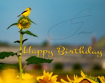 Birthday Card: Sunflower Perch
