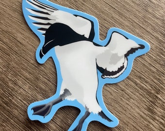 Pegatina de arao común