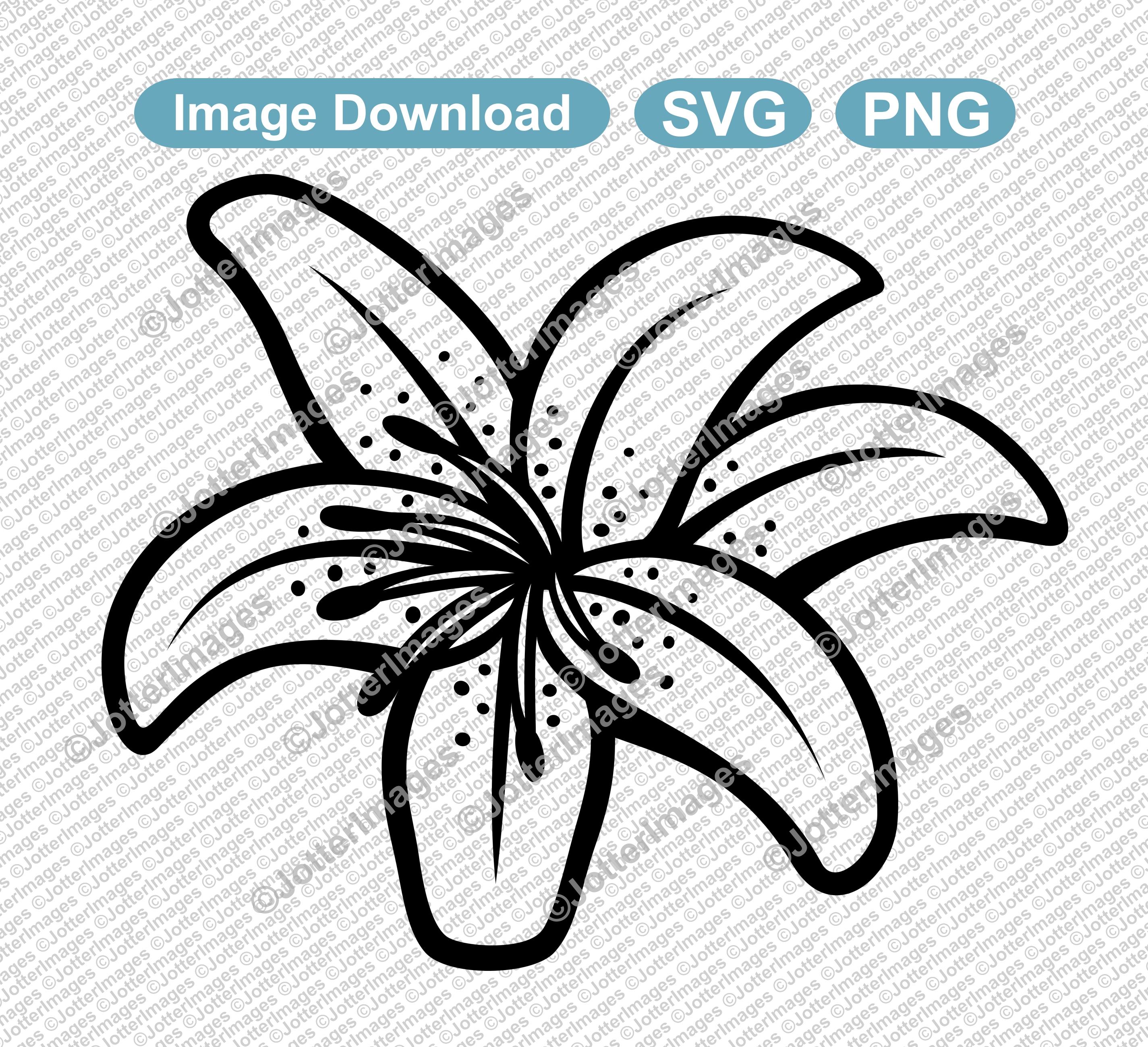 seed flower packets Set of 50 Flower Seed Packets - Flower Seeds in Bulk main image 1