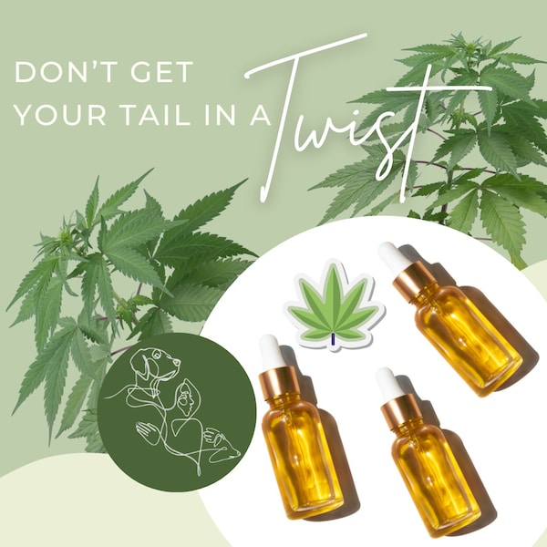 Don't Get Your Tail In A Twist | Hemp Oil | Multi-Pet Safe | Hedgehog Hemp Oil