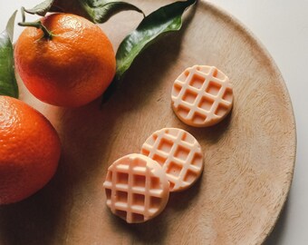 FRUITY Box: 12 scented melts - 6 scents