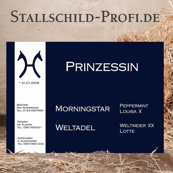 Stallschild | Boxenschilder für Pferde | Prinzessin