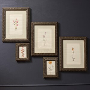 Cottage Blooms – Vintage-Inspired Floral Frame Gallery, Ornate Wall Decor, Collectible Botanical Prints, Cottagecore Home Art Set