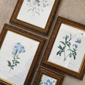 Vintage Floral Gallery Wall Set – Gold Framed Flower Prints, Matching Frames, Cottagecore Decor, Botanical Prints in Antique Gold Frames