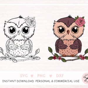 Eule SVG Konturschnittdatei. Baby Eule svg, Blumen Niedliche Eule svg. Waldtier svg. Vogel svg. Kawaii svg. Schneide Dateien für Cricut und Silhouette