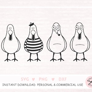 Fichier traceur Möwe Moin marin marin mouette maritime, dicton maritime allemand cool couper fichier, clipart mouette marin, marin svg commercial