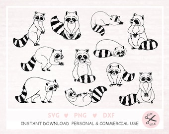 Raccoon SVG Raccoon Clipart Raccoon Cut Files Raccoon Silhouette, Cute Raccoon Svg, Peeking Raccoon Svg Animal Cricut Instant Download