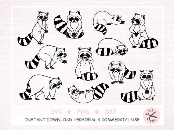 Raccoon SVG Raccoon Clipart Raccoon Cut Files Raccoon Silhouette, Cute Raccoon Svg, Peeking Raccoon Svg Animal Cricut Instant Download