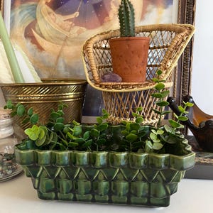 May include: A green ceramic planter with a geometric design, filled with small green plants. A small wicker chair holds a terracotta pot with a cactus. A brass container and a framed celestial artwork are in the background.