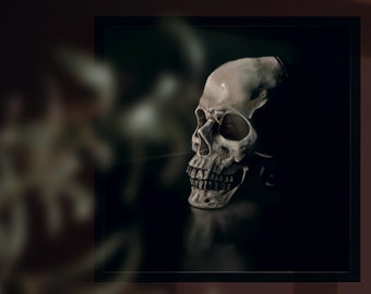 Puede incluir: Imagen en escala de grises de un cráneo humano, sobre un fondo oscuro. El cráneo está posicionado de perfil, mostrando su intrincada estructura ósea y las cuencas de los ojos huecas. La iluminación crea sombras, realzando la textura y la forma del cráneo.