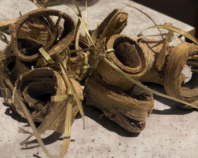 Moroccan Walnut Bark Siwak for Authentic Freshness | Have a Radiant Smile with our Moroccan swak, TAGOUSSIM سواك بلدي