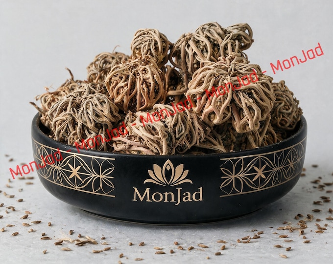 Maryam flower, rose of Jericho, Anastatica Hierochuntica, kaf maryam, rose of Mary, organic desert plant