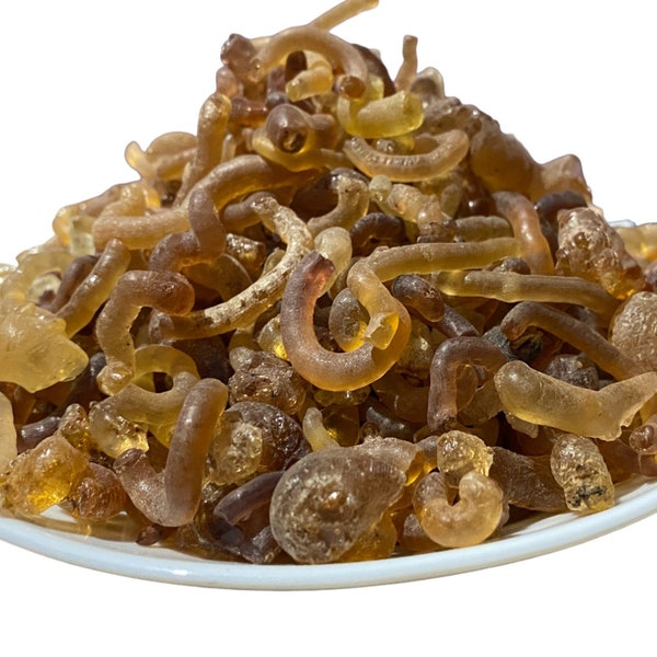 Gum arabic from the Moroccan desert, el âlk el arabi | Acacia gum | Pure gum arabic resin || الصمغ العربي من شجرة الطلح