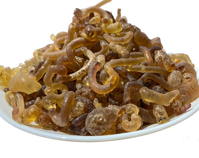 Gum arabic from the Moroccan desert, el âlk el arabi | Acacia gum | Pure gum arabic resin || الصمغ العربي من شجرة الطلح