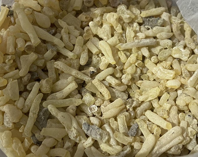 Sandarak Sandros incense - Sandarach gum Sacred Perfume for Meditation and Rituals - Natural Sandarach - عشبة و بخور السندروس