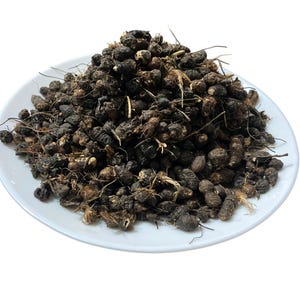 Nabat Al Saad – نبات السعد | Seeds of Gowé, Cyperus rotundus, Gowi Gueni, Nagarmotha, Nut grass, natural incense roots