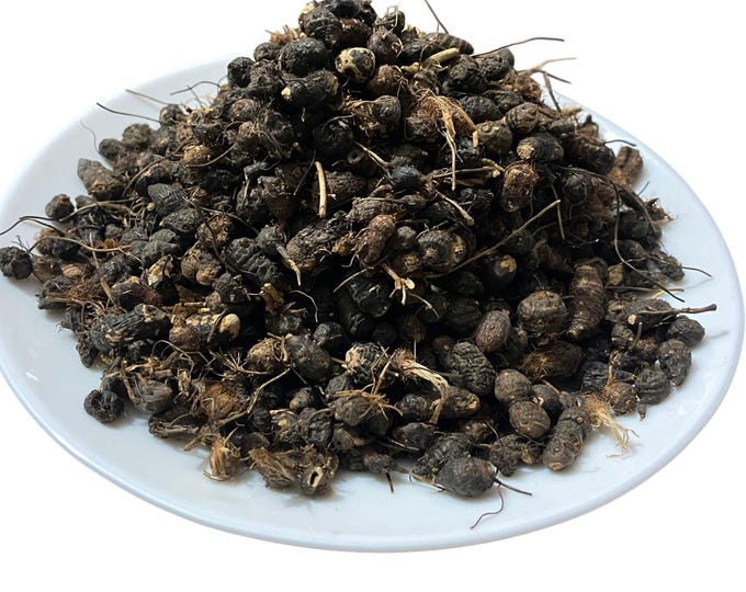 Nabat Al Saad – نبات السعد | Seeds of Gowé, Cyperus rotundus, Gowi Gueni, Nagarmotha, Nut grass, natural incense roots