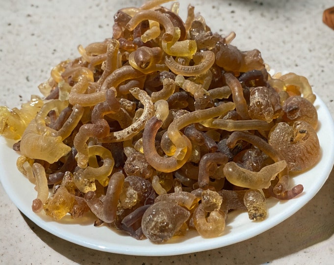 Gum arabic from the Moroccan desert, el âlk el arabi | Acacia gum | Pure gum arabic resin | الصمغ العربي من شجرة الطلح