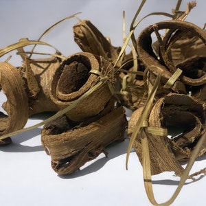 Moroccan Siwak Walnut Bark for Authentic Freshness Have a Radiant Smile with our Moroccan swak, TAGOUSSIM سواك بلدي image 3