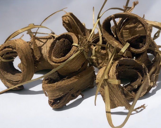 Moroccan Walnut Bark Siwak for Authentic Freshness | Have a Radiant Smile with our Moroccan swak, AGOUSSIM سواك بلدي