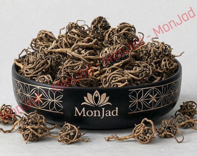 Shajarat Maryam: The Sacred Plant of Feminine Harmony | Palm of Mary | Rose of Jericho | عشبة كف مريم | Chajarat Maryam | kaf maryam