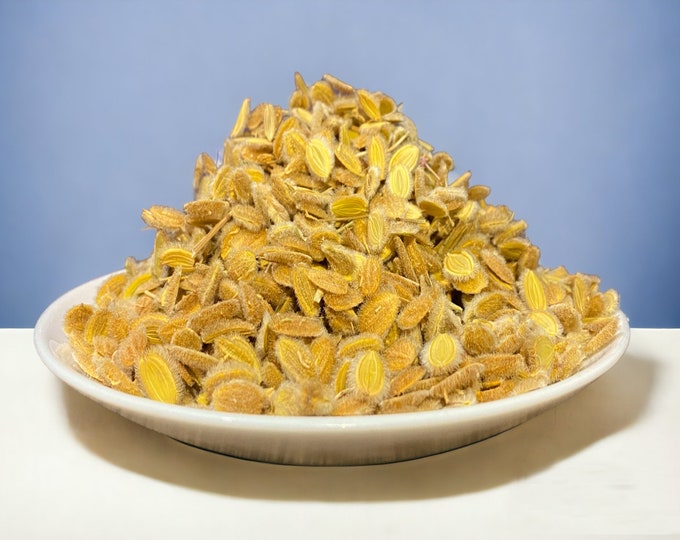 Premium organic mystic cumin - Kamoun Soufi - Hairy cumin - hairy cumin - الكمون الصوفي - hairy cumin - Ammodaucus leucotrichus