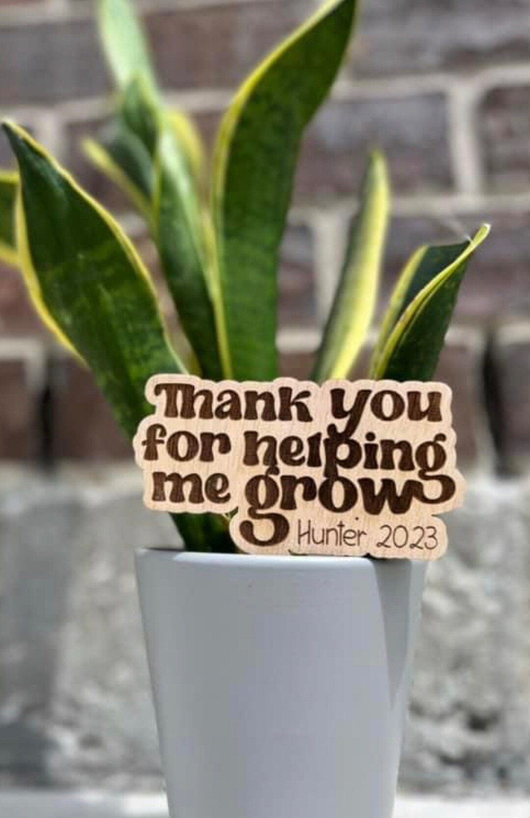 Thanks for Helping Me Growplant Stakeplant Gift for