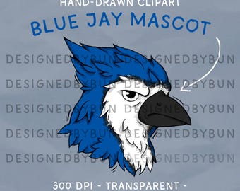 Hand-Drawn Blue Jay Mascot Clipart: School Spirit PNG (Digital Download, Commercial Use)
