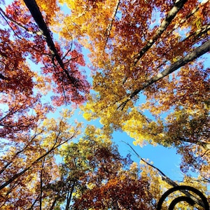 Fall Color Change Photo at Cuyahoga Valley