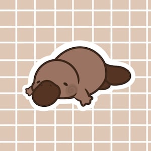 Platypus Sticker | Laptop Stickers | Vinyl Stickers | Animal Stickers