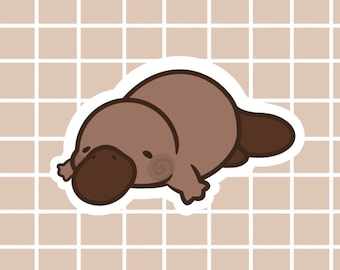 Platypus Sticker | Laptop Stickers | Vinyl Stickers | Animal Stickers