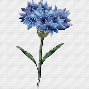 Blue Carnation Cross-Stitch Pattern: Floral Embroidery Design (PDF Pattern)