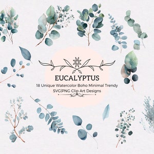 18 Eucalyptus Svg Eucalyptus Bundle Eucalyptus SVG Clipart PNG