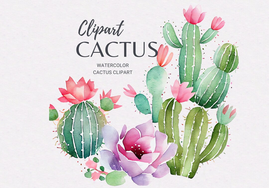Watercolor Cactus PNG | Floral Cactus Clipart | Floral Cactus Frame ...