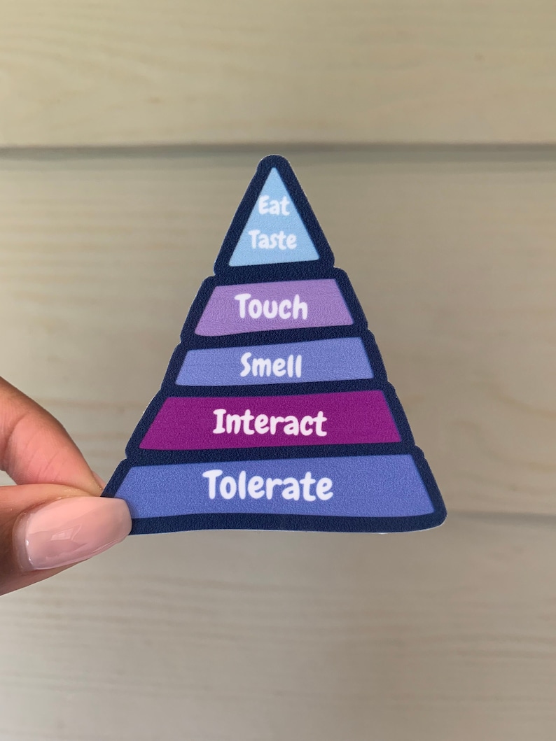 May include: A blue, purple and pink pyramid-shaped sticker with the words "Eat", "Taste", "Touch", "Smell", "Interact", and "Tolerate" written on it.
