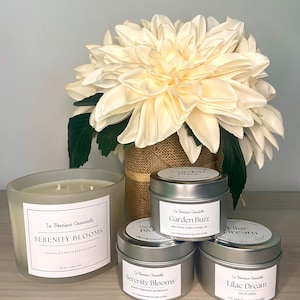 Natural Soy Wax Scented Candles, Pet Friendly Candles, All Natural Vegan Candles, Home Decor Candles, Candle Gifts, Natural Candles Soy Wax