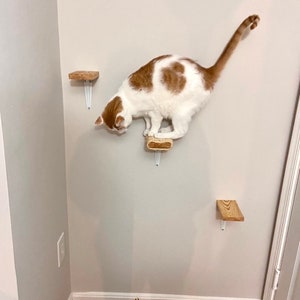 Set van 5 kattenmuurtrappen, kattenplanken, kattenmuurmeubilair, kattenladder, muurkattentrap, kattenklimstructuur, moderne kattentrap