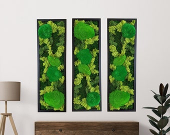 Vertically Moss Wall Art, Vertical Preserved Moss Wall Decor, Vertical Shaped Real Moss Framed Wall Art, Green  Decoration, Christmas Gift