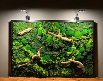 Preserved Moss Wall Art, LED Lighted Moss Wall Hanging, Driftwood and Moss Wall Art Led Lights 100% Real Framed Moss Art