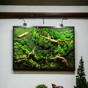 Konservierte Moos Wandkunst, LED beleuchtete Moos Wandbehang, Treibholz und Moos Wandkunst Led Lichter 100% echte gerahmte Moos Kunst