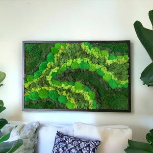 Preserved Moss Wall Art, LED Lighted Moss Wall Hanging, Led Lights 100% Real Framed Moss Art, Eco Friendly Christmas Gifts