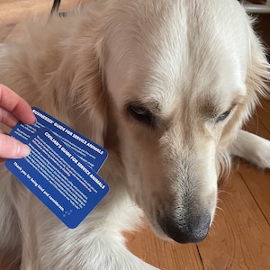The foreground is the seller's hand holding both card examples in front of Gnocchi, a white/cream colored golden retriever, who is sporting a brooding gaze.