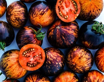 Queen of the Night - Heirloom Tomato Seeds organic (pack 15 seeds)