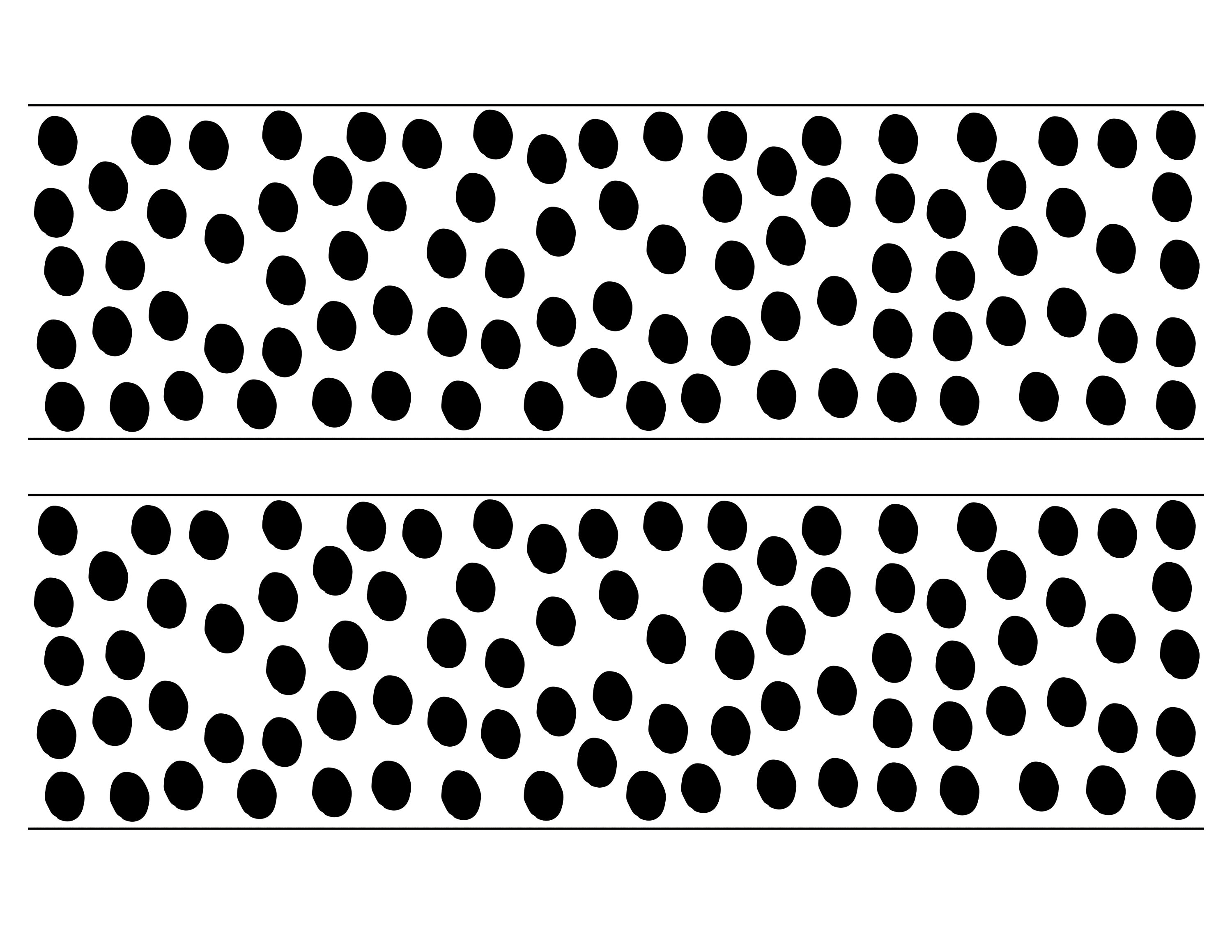 Black and White Bulletin Board Borders, Botanical Classroom Borders, School Board Borders