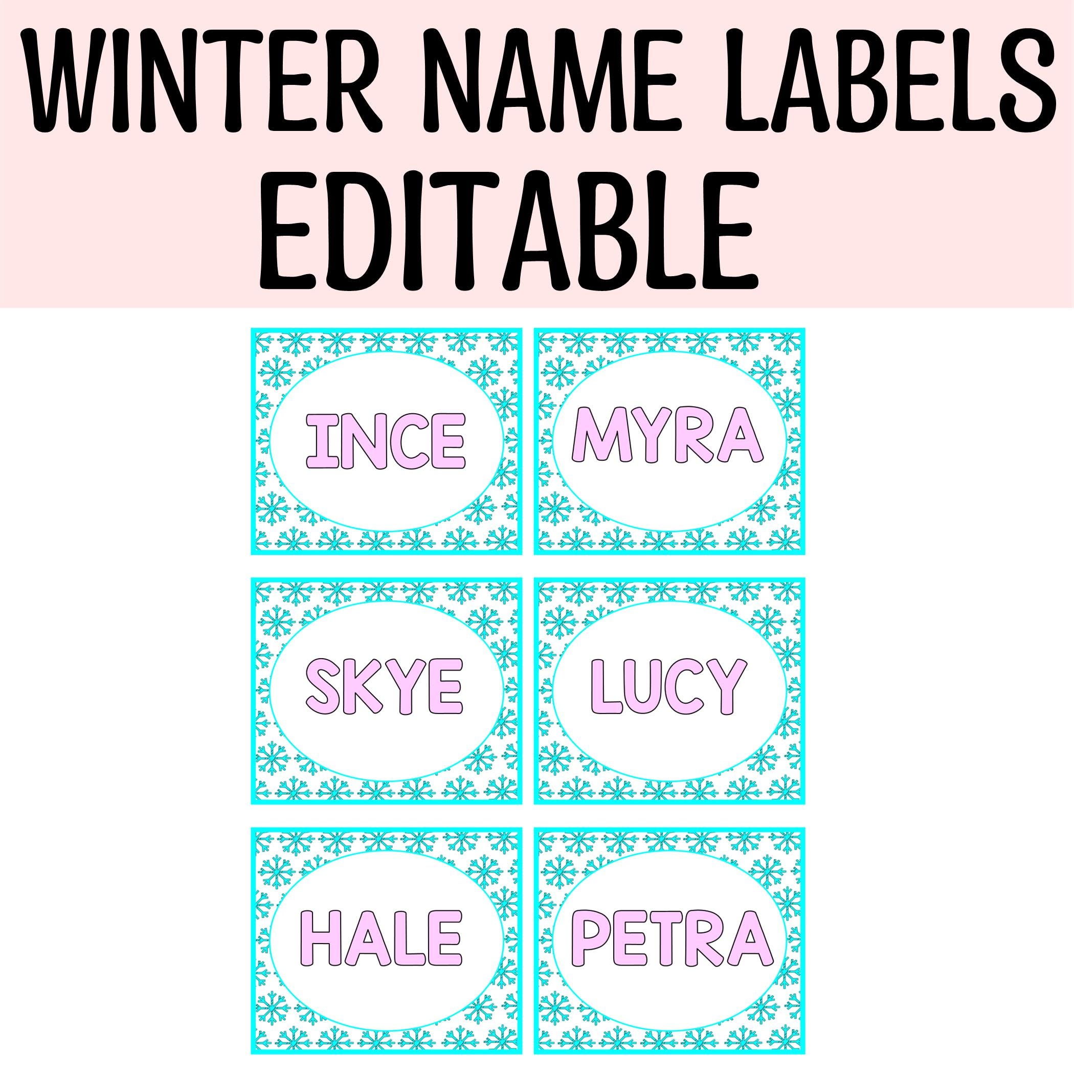 Printable Snowflakes Name Labels, Winter Classroom Decor (PDF & PPTX ...