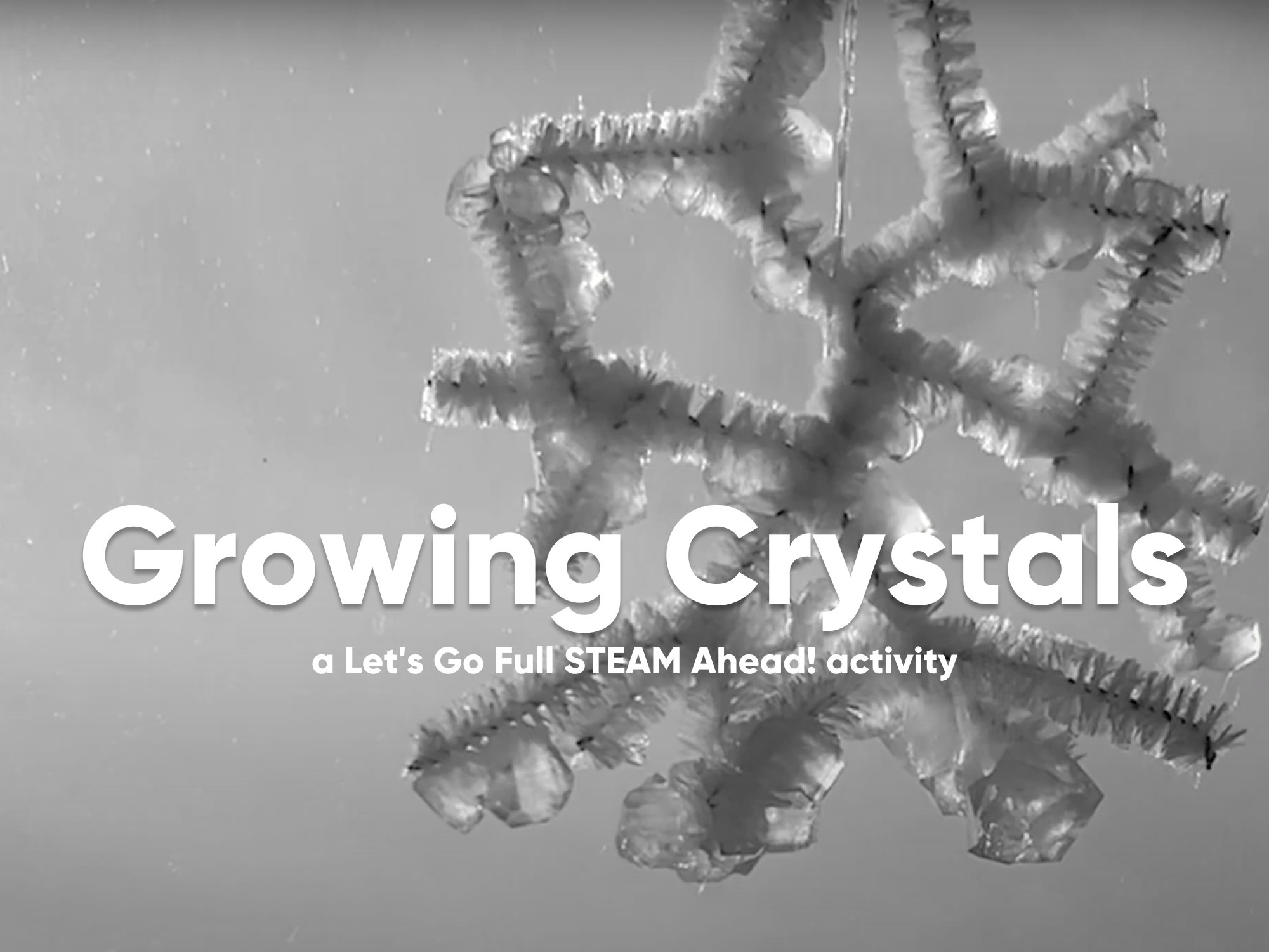 STEAM Activity Growing Crystals Etsy