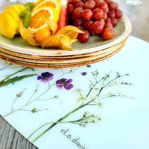 May include: A stack of green-rimmed plates holds a colorful assortment of fruit, including grapes, oranges, and kiwi. Below, a light blue placemat features a floral design with purple flowers and the text "el.a.dini".
