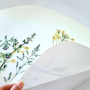 May include: A close-up of a white, curved surface with a floral design. The design features yellow flowers and green leaves. The surface is being held up, revealing a similar design on the underside.