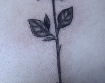 Rose Tattoo